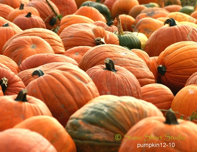 pumpkin-12-10