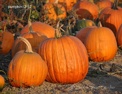 pumpkin-12-12