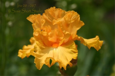 08-087