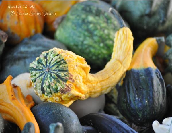 Free Photo - Gourds 12-50