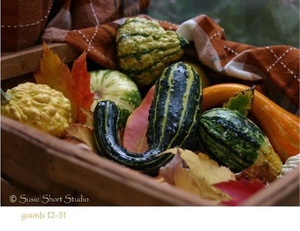 Free Photo - Gourds 12-51