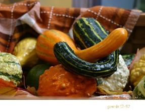 Gourds 12-52