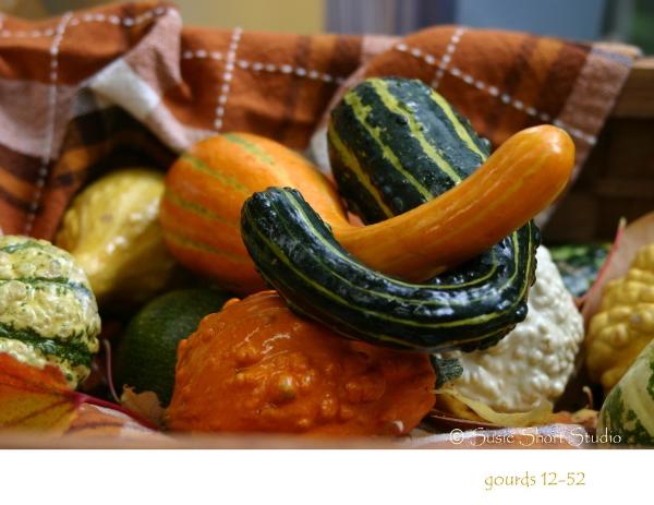 Free Photo - Gourds 12-52