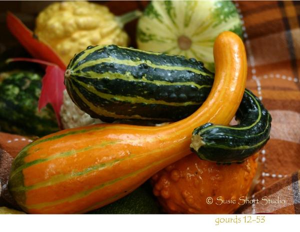 Free Photo - Gourds 12-53