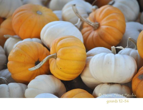 Free Photo - Gourds 12-54