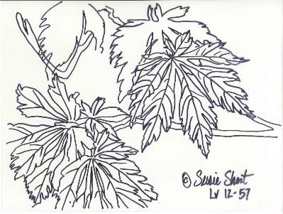 Free Pattern Leaves 12-57