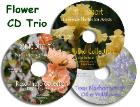 Reference Photo CDs for Artists