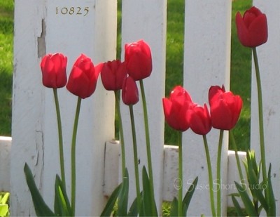 10825